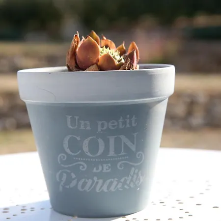 Chez Prunette לינה וארוחת בוקר Les Lèves-et-Thoumeyragues