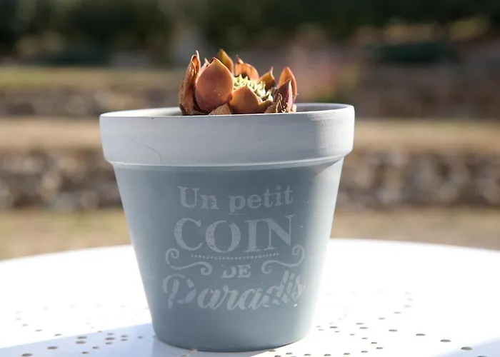 Chez Prunette Bed & Breakfast Les Lèves-et-Thoumeyragues